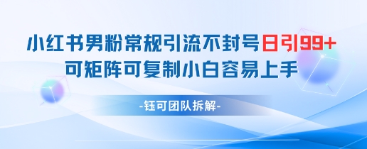 小红书男粉常规引流不封号日引99+变现简单 可矩阵可复制小白容易上手-wanlih项目库