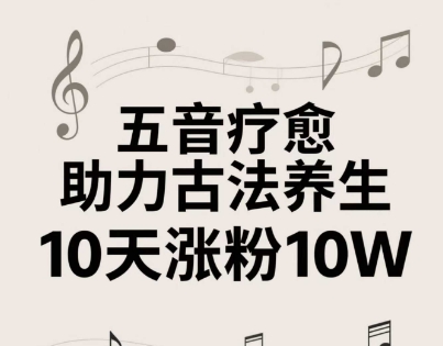 古法五音养生教程，五音疗愈的视频的制作方法，2-4小时就能学会，作者10天涨粉10W-wanlih项目库