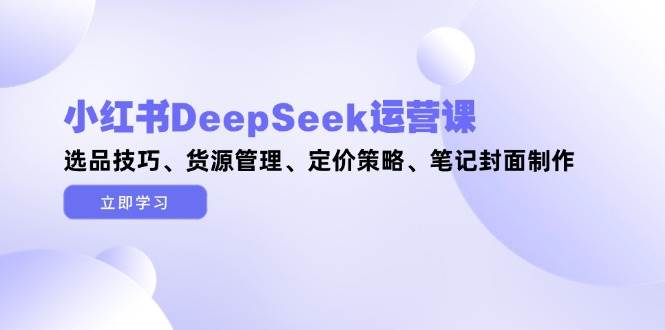 小红书DeepSeek运营课，选品技巧、货源管理、定价策略、笔记封面制作-wanlih项目库