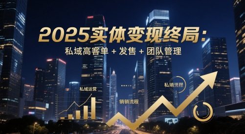 2025实体变现终局：私域高客单+发售+团队管理-wanlih项目库