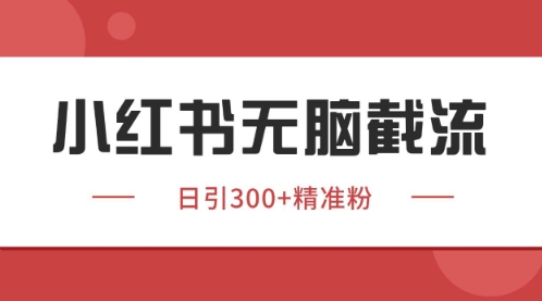 小红书只要你有同行就能获客，独家野路子获客玩法，暴力截流【揭秘】-wanlih项目库