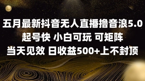 2025五月最新无人直播撸音浪单日产出5张+实操教程【揭秘】-wanlih项目库