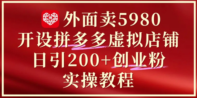 外面卖5980开设拼多多虚拟店铺：单日引流200+创业付费粉实战教程-wanlih项目库