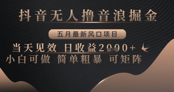 抖音无人撸音浪掘金，五月最新风口项目，当天见效，日收益多张，小白可做简单粗暴可矩阵【揭秘】-wanlih项目库