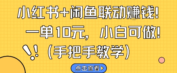 小红书+闲鱼联动挣钱，一单10元，小白可做-wanlih项目库