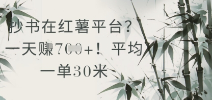 抄书在小红薯平台？平均一单30米，一天收益几张！-wanlih项目库