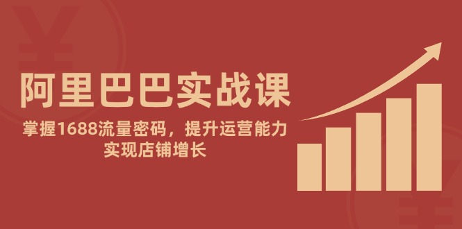 阿里巴巴实战课：掌握1688流量密码，提升运营能力，实现店铺增长-wanlih项目库