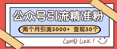 公众号精准粉引流玩法，2个月3000+精准粉，变现30个W【揭秘】-wanlih项目库
