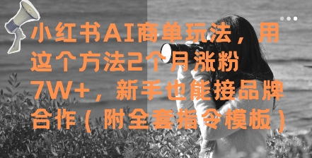 小红书AI商单玩法，用这个方法2个月涨粉7W+，新手也能接品牌合作(附全套指令模板)-wanlih项目库