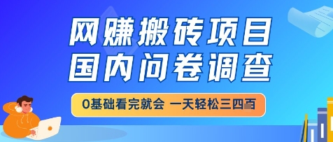 网创搬砖项目，国内问卷调查，小白轻松上手，一天三四张的也不难，干就完了【揭秘】-wanlih项目库