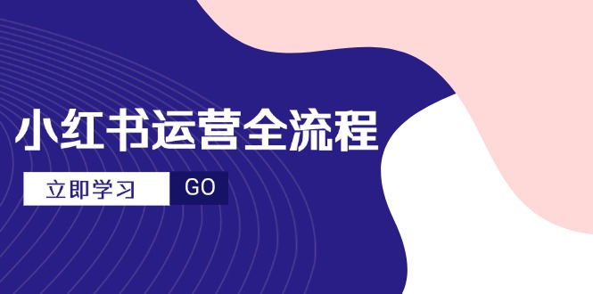 小红书运营全流程，爆款选题文案，视频制作技巧，进阶达人宝典-wanlih项目库