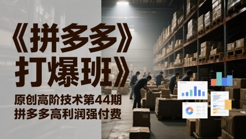 《拼多多打爆班》原创高阶技术第44期，拼多多高利润强付费-wanlih项目库