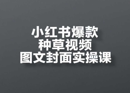 小红书爆款种草视频图文封面实操课，​开店、选品、引流、变现全流程-wanlih项目库
