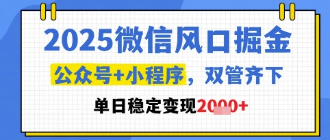 2025微信风口掘金，公众号+小程序双管齐下，单日稳定变现1k+【揭秘】-wanlih项目库